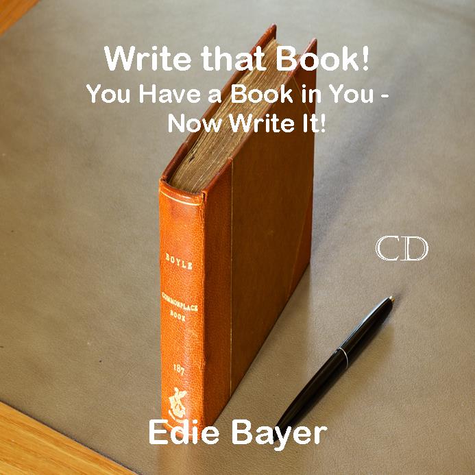 Write that Book Author Seminar on CD to listen